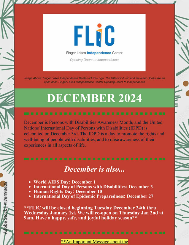 FLIC Newsletter December 2024